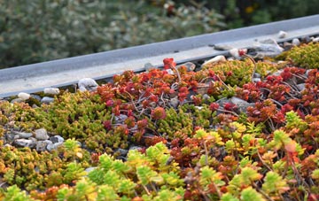 the cost of Aberarder green roof installation