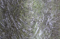 Aberarder fibreglass roof work